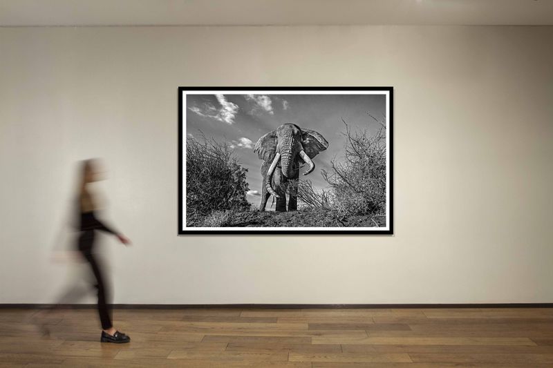 60 x 90 in., edition of 5